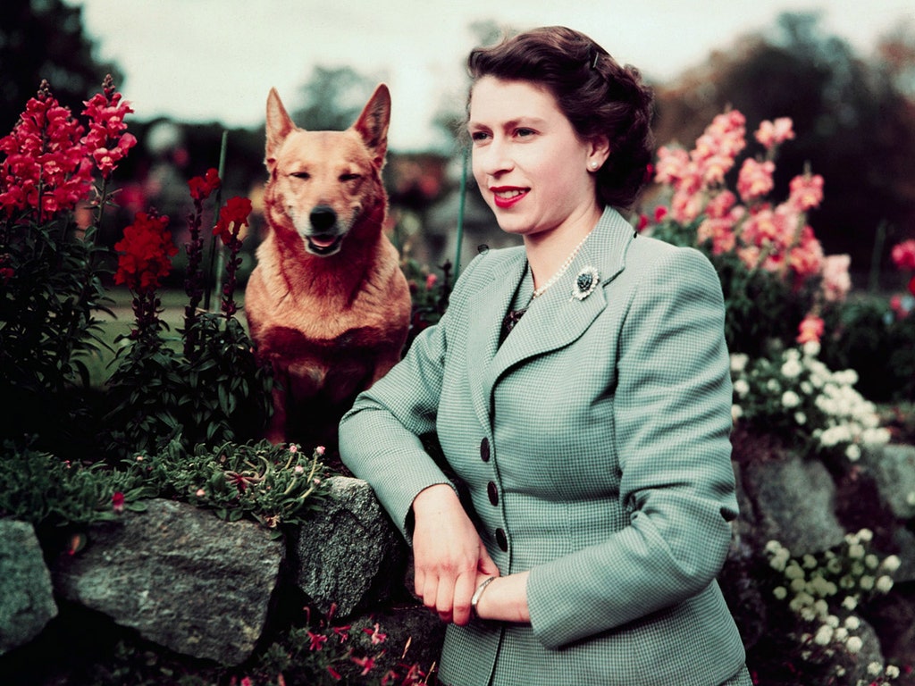 Queen Elizabeth and Her Corgis: A Love Story