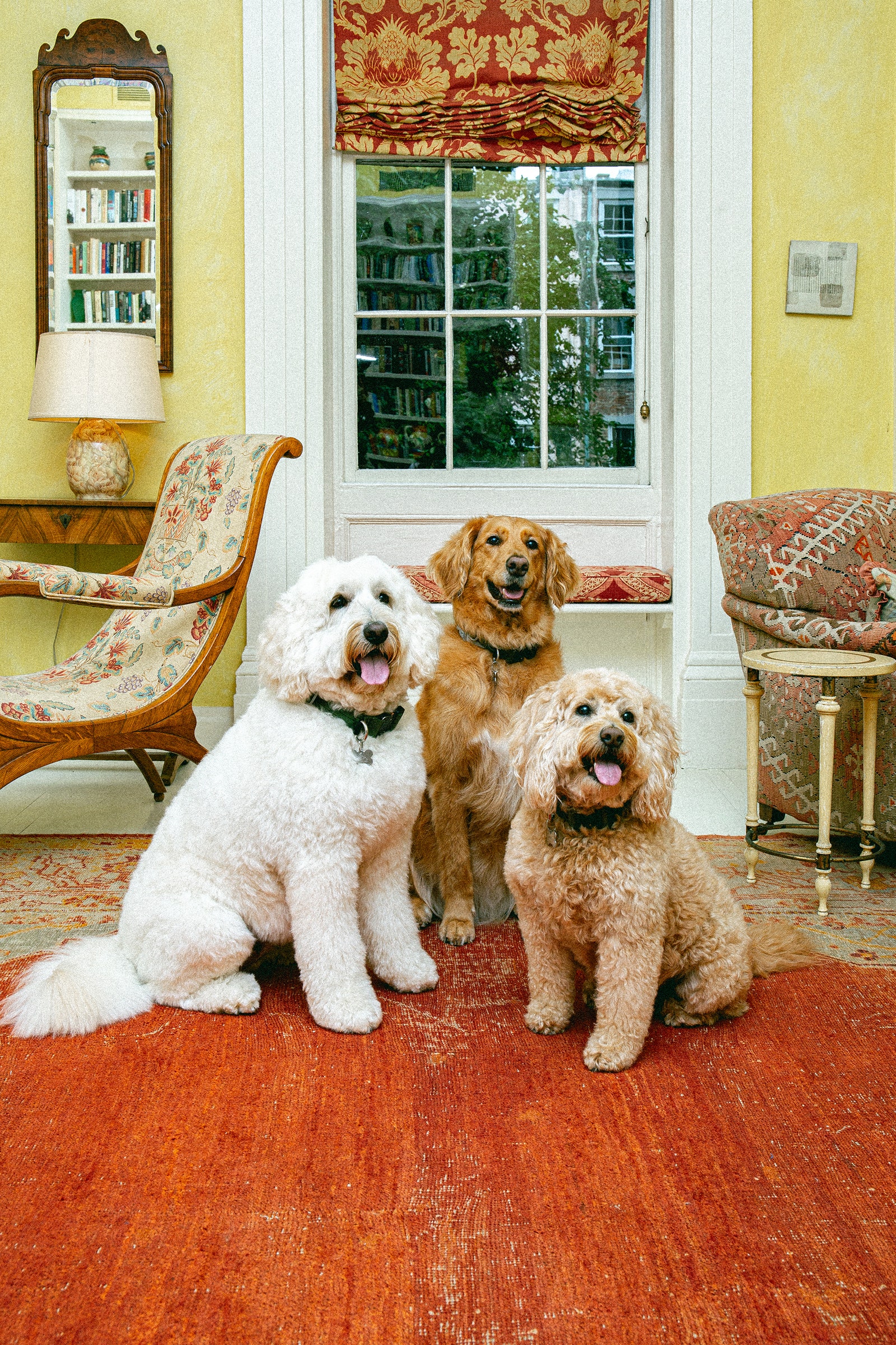 Anna Wintour's dogs Finch Radley and Harper for Vogue Magazine photographed by OK McCausland on August 7th 2024.