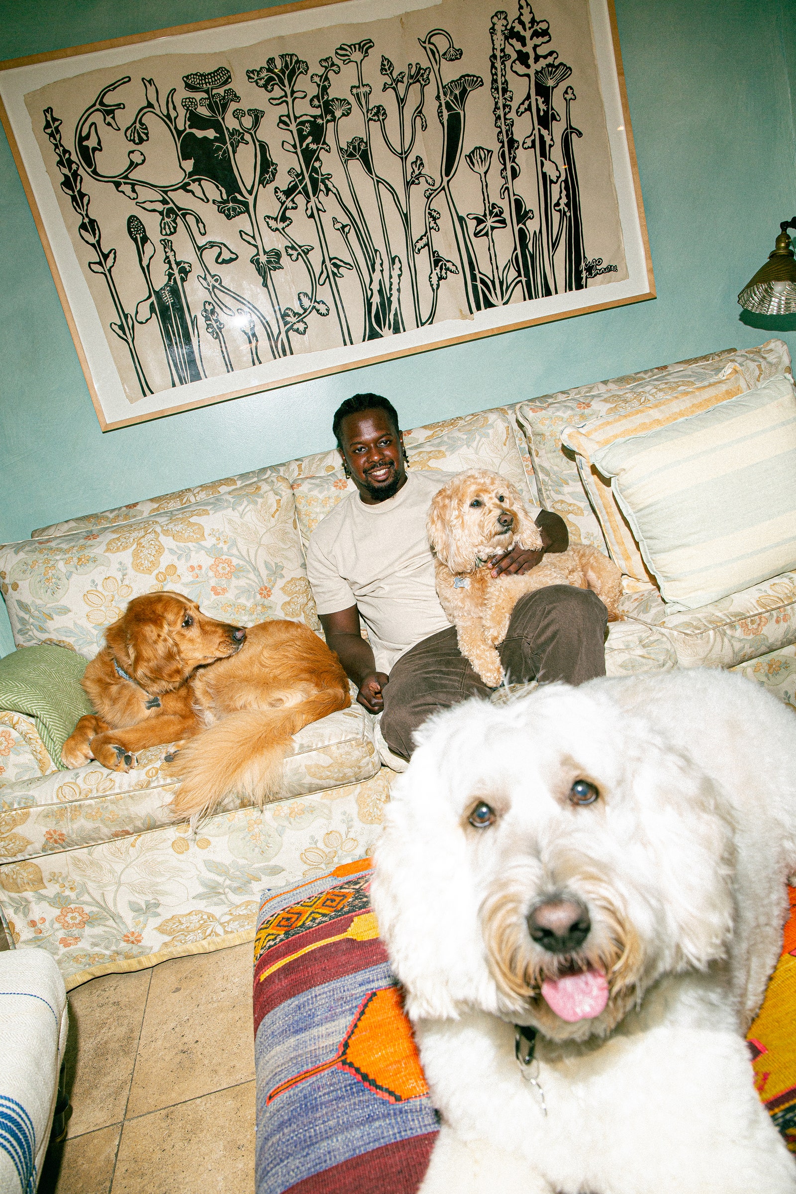 Anna Wintour's dogs Finch Radley and Harper for Vogue Magazine photographed by OK McCausland on August 7th 2024.