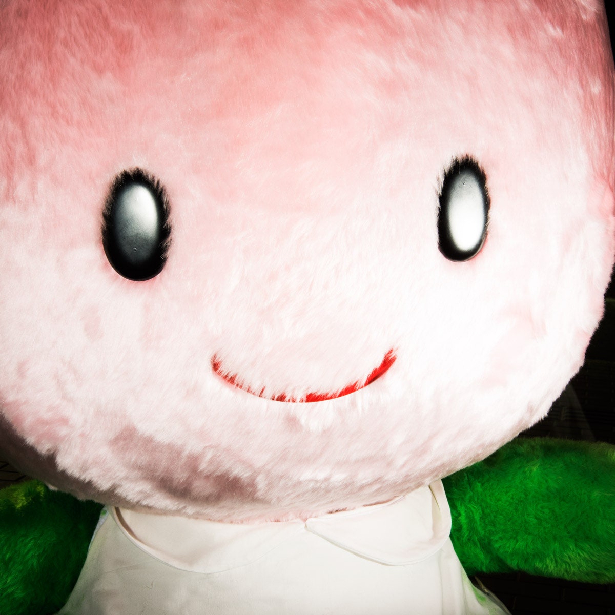 pink furry creature with smiling face