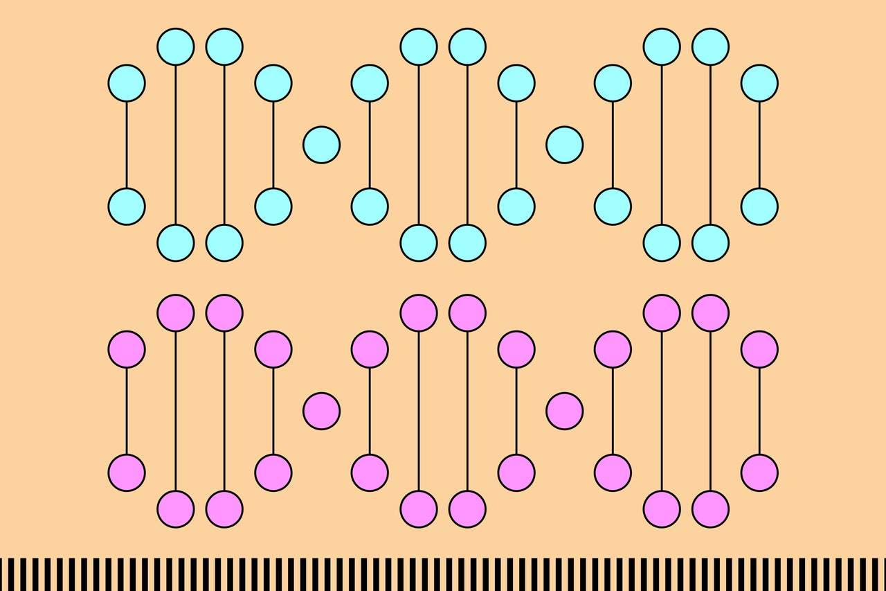 The Key to a Long Life Has Little to Do With ‘Good Genes’