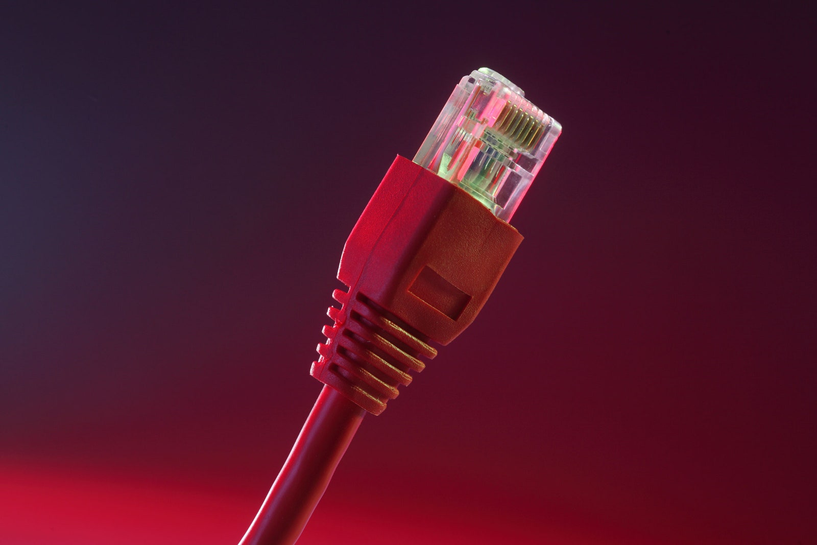 ethernet cable