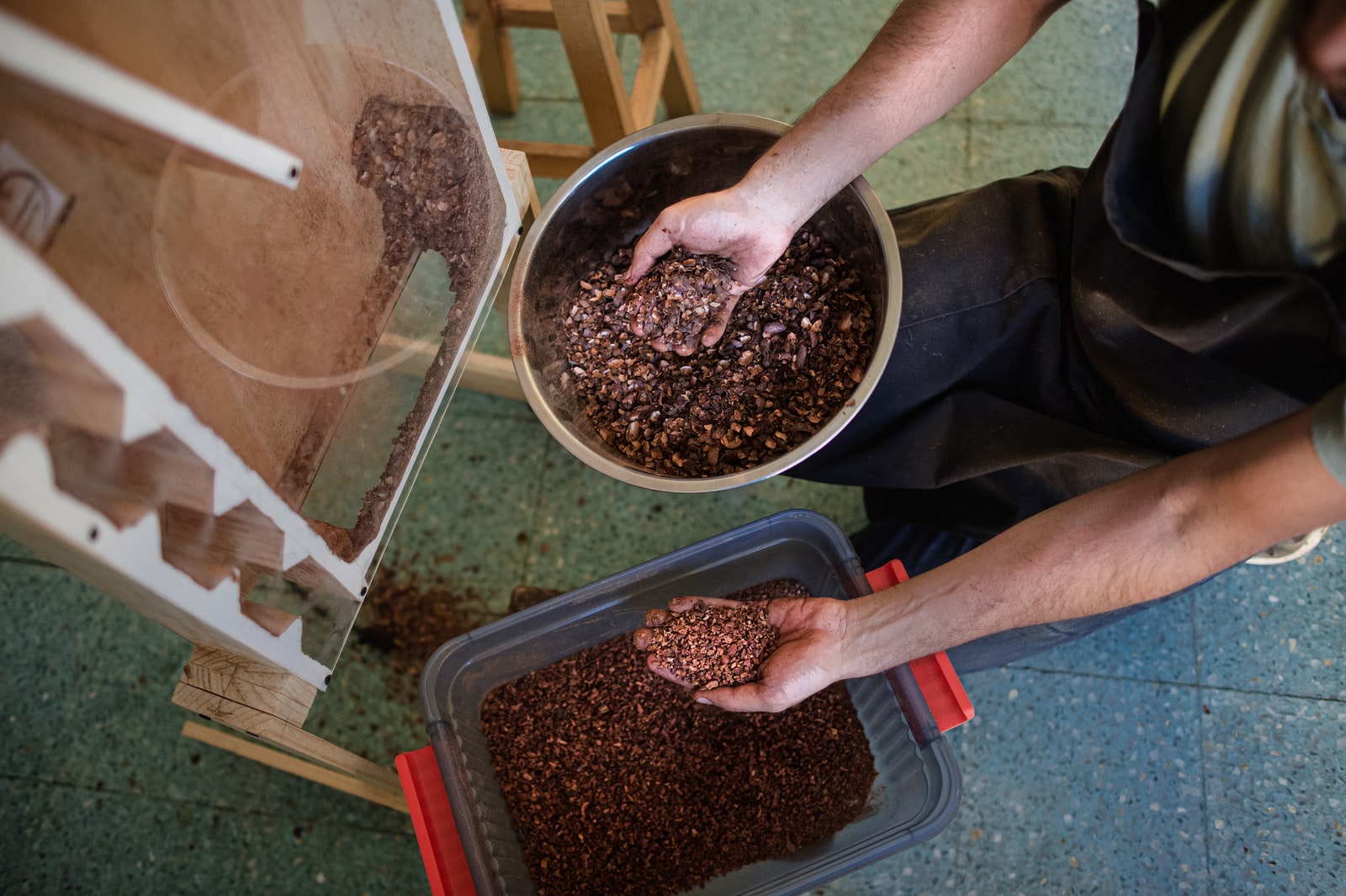 Person holding shelled cocoa beans