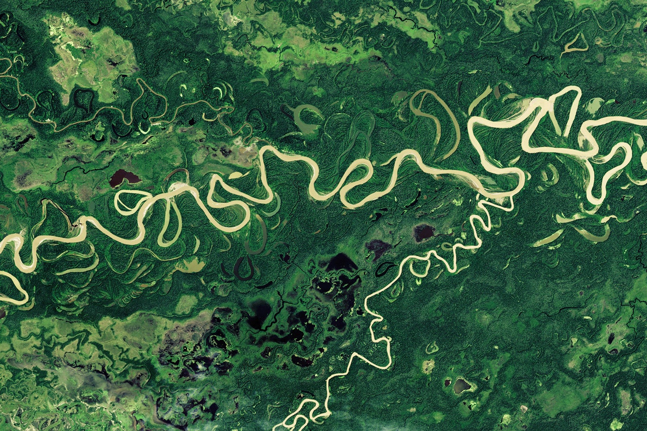 Reshuffled Rivers Bolster the Amazon’s Hyper-Biodiversity