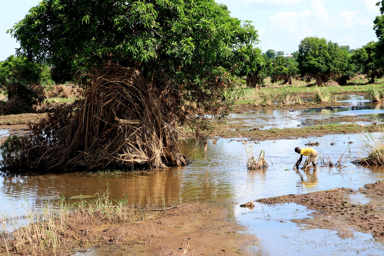 A Global Surge in Cholera Outbreaks May Be Fueled by Climate Change