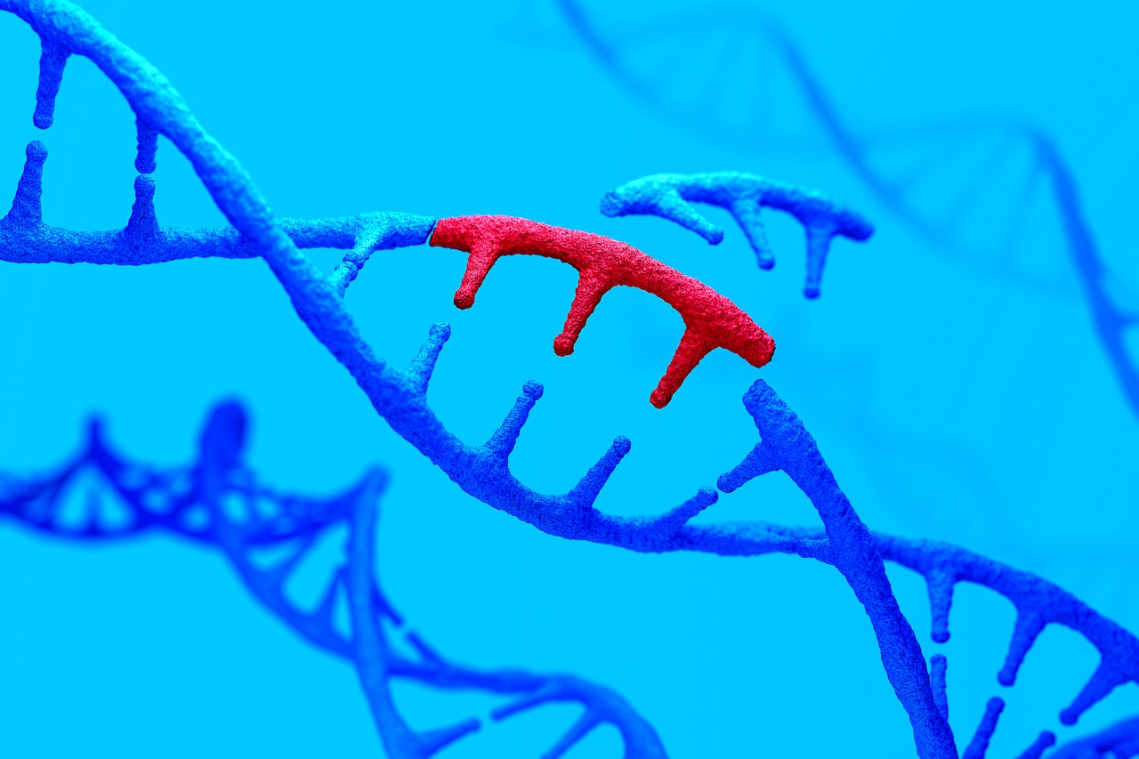 The First Crispr Medicine Just Got Approved