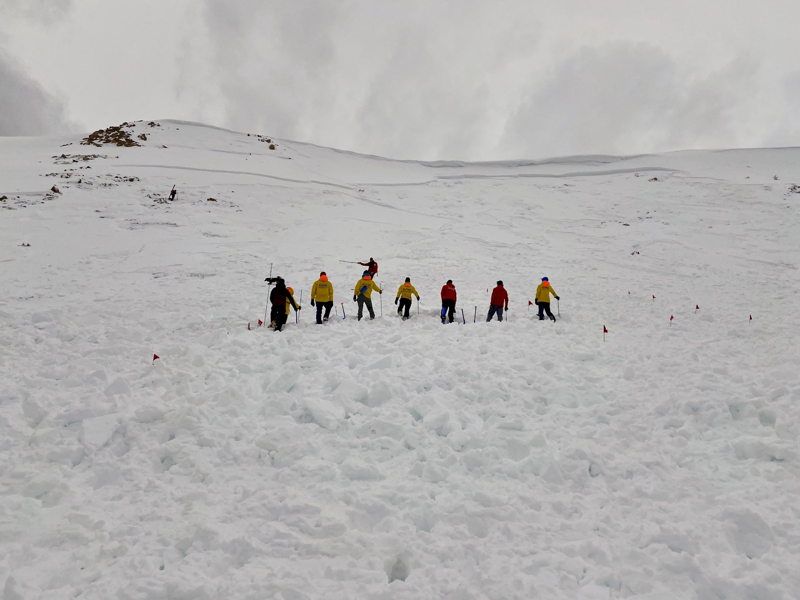 team probing in snow