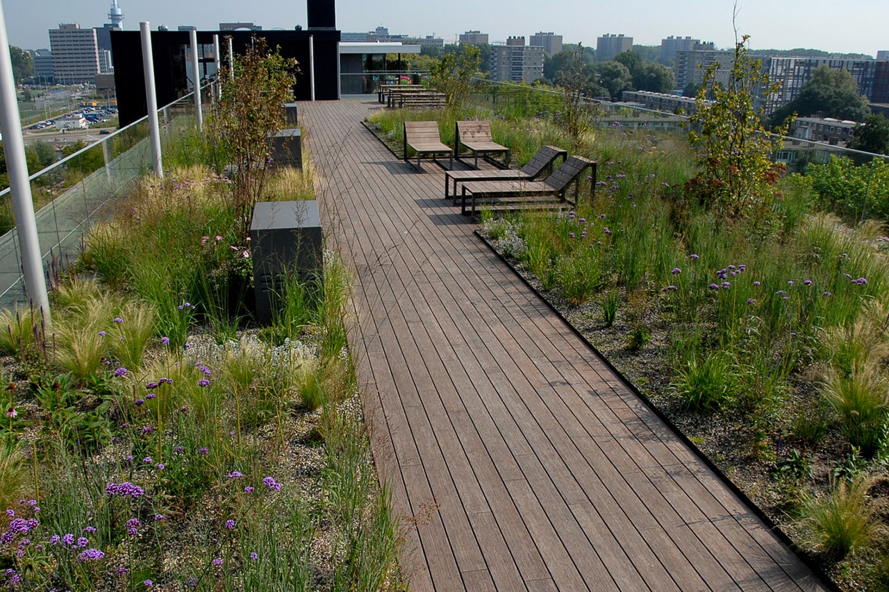 Green Roofs Are Great. Blue-Green Roofs Are Even Better