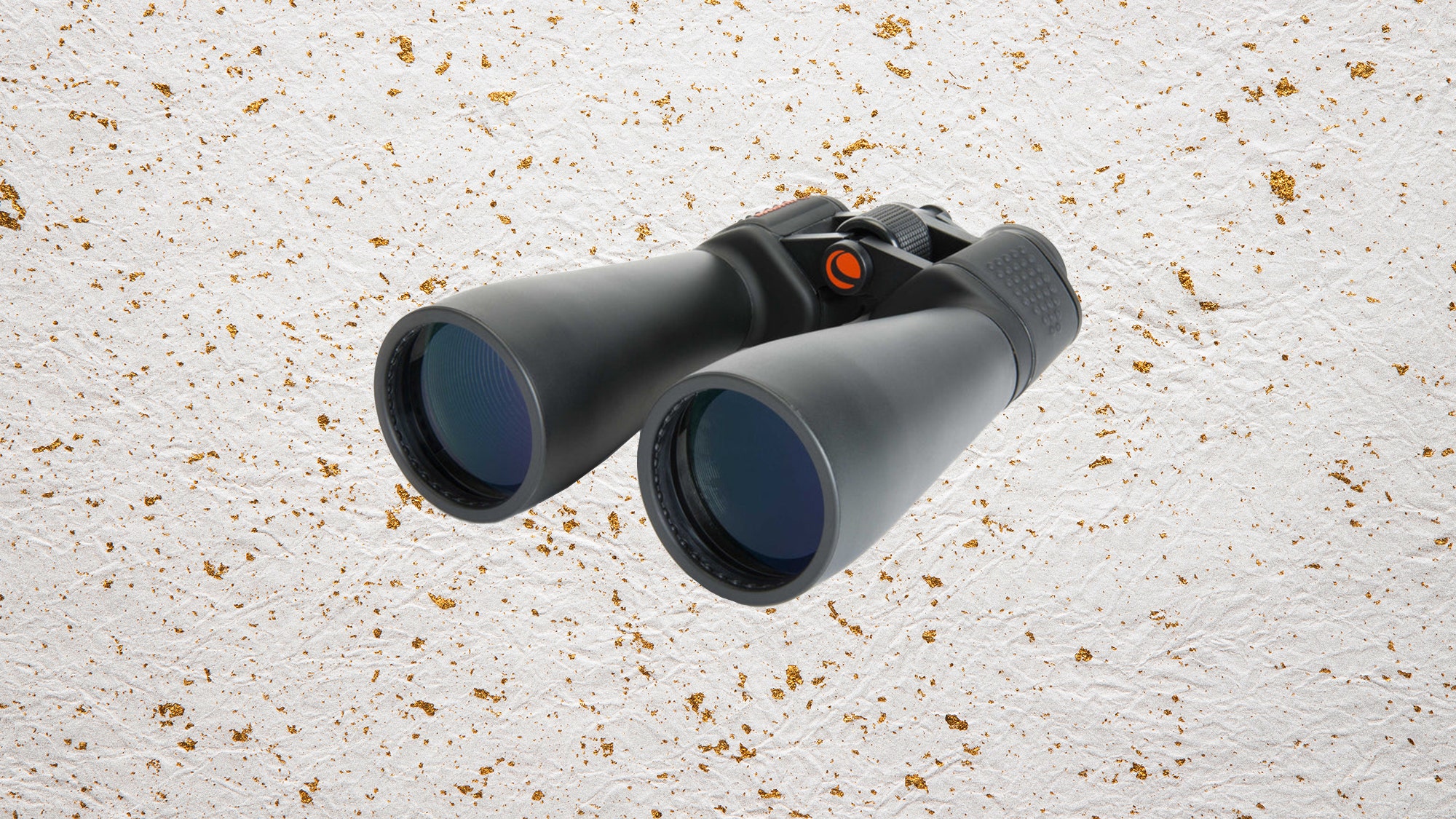 The Best Binoculars to Zoom In on Real Life