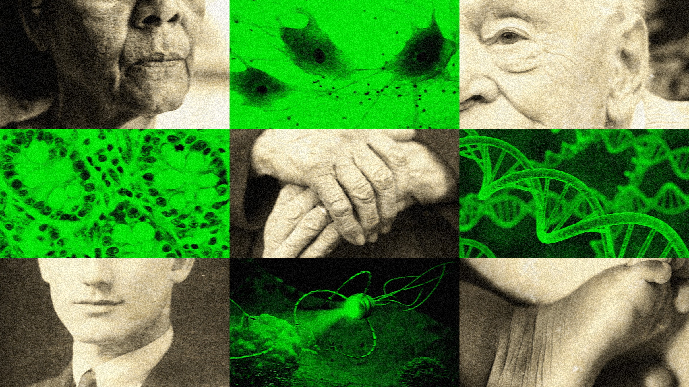 Grid of 9 images alternating between sepiatoned photographs of people of various ages and limegreen hued imagery of...