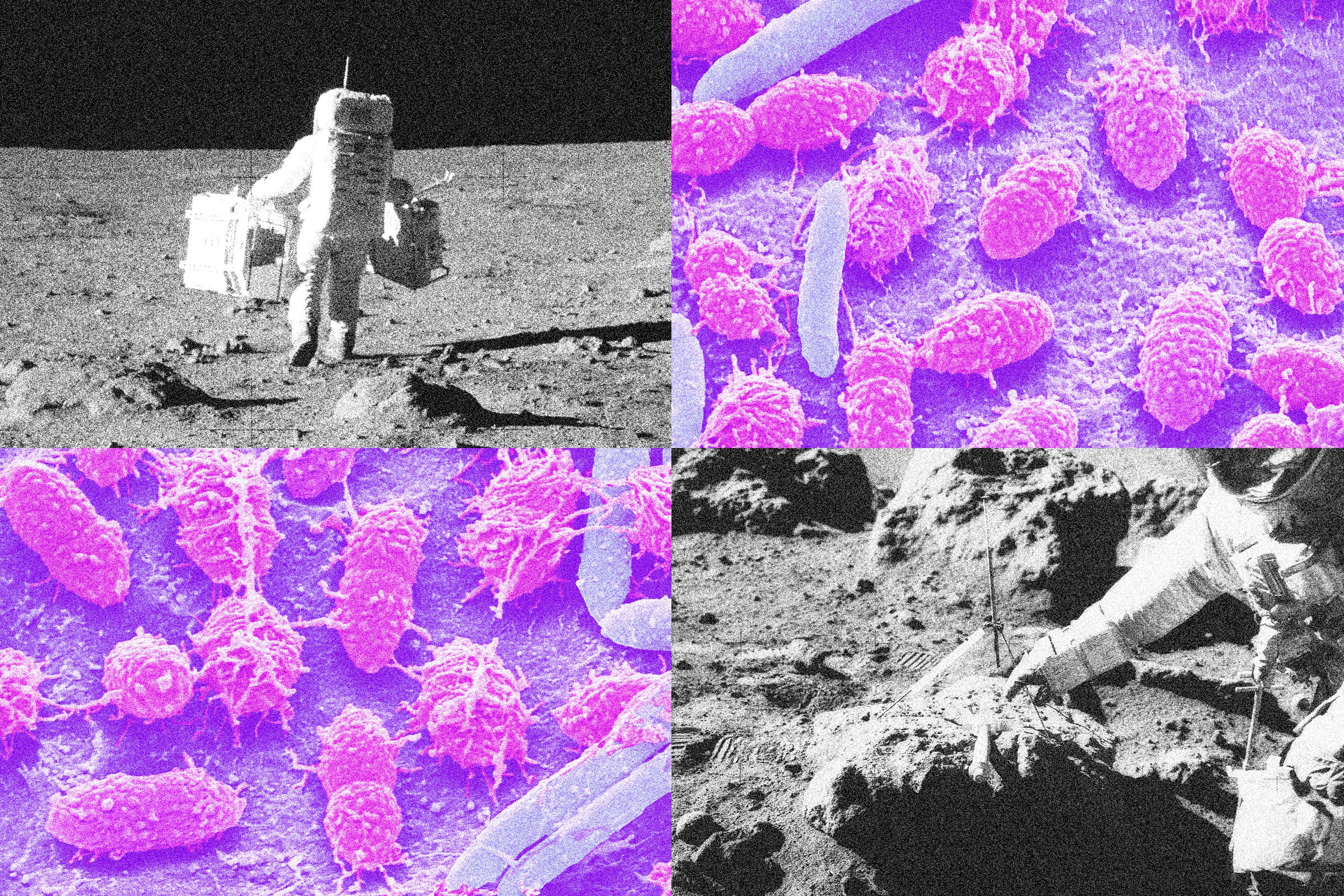 Collage image of astronauts and magnified human faeces