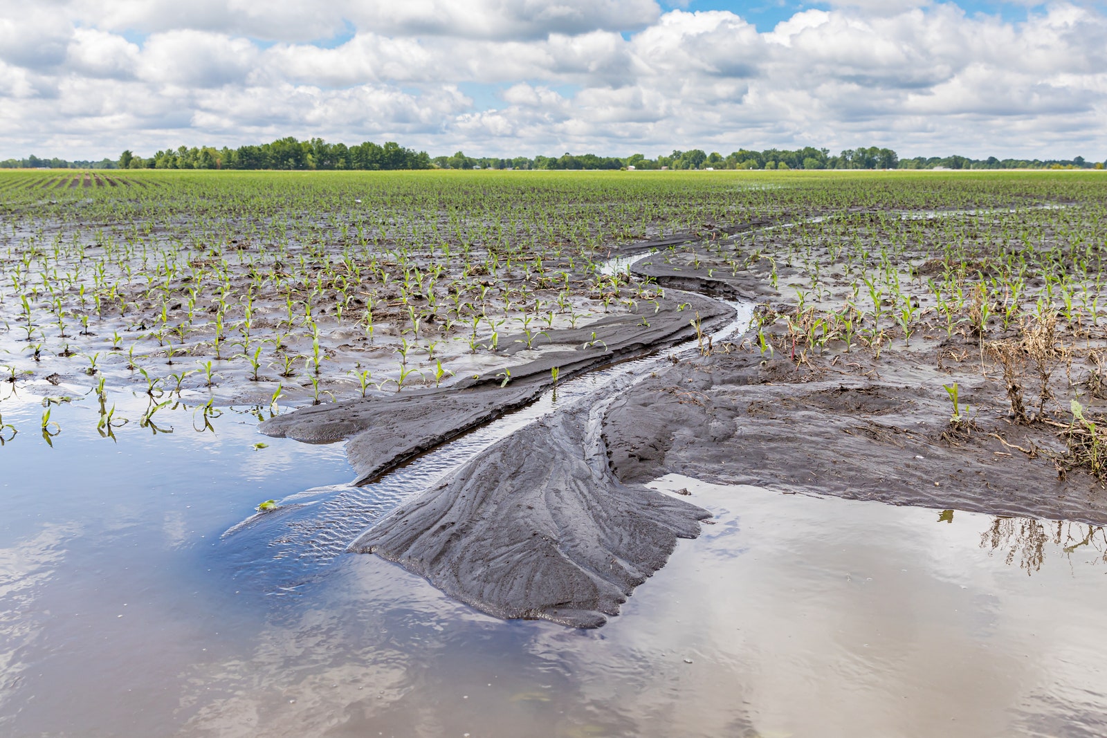 Everything’s About to Get a Hell of a Lot More Expensive Due to Climate Change