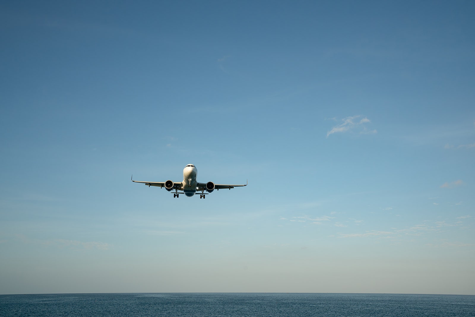 Photo of Landing passenger jet airplane at daytime