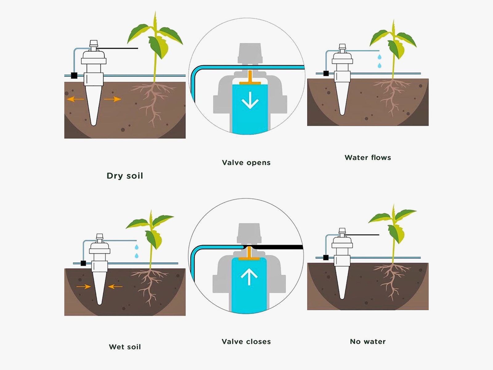 Diagram showing how a plant watering system works. The series of images show how soil goes from dry to wet through the...