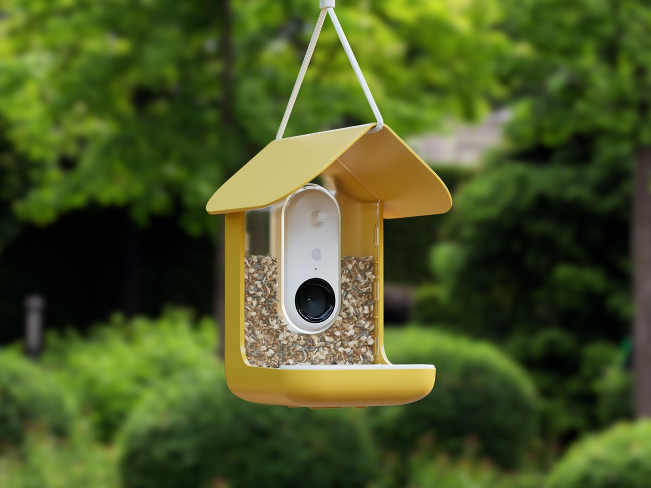 House-shaped yellow bird feeder suspended from a tree