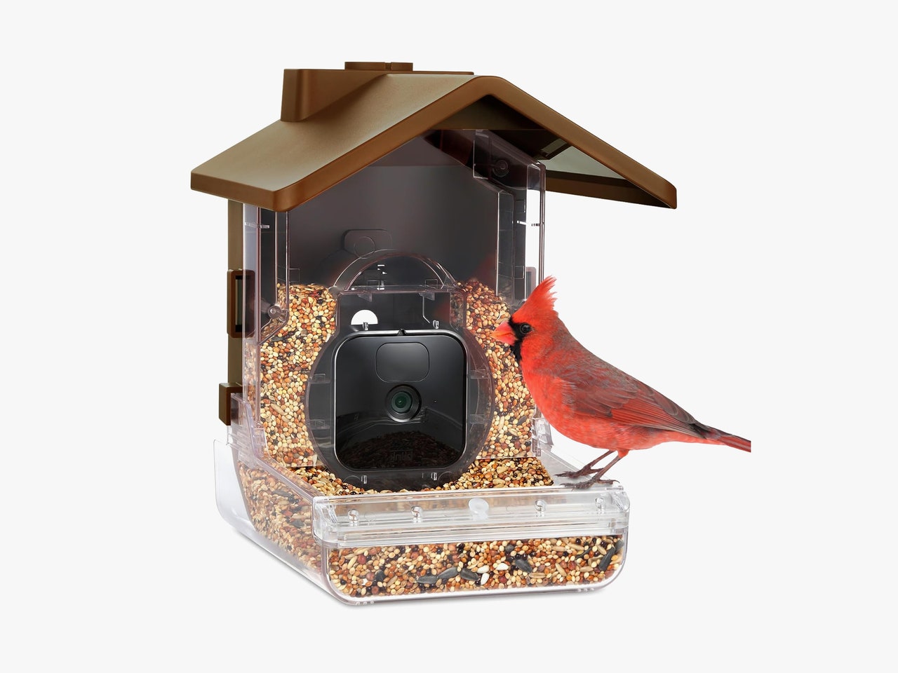 Bird feeder shaped like a house with a camera in the center and a small red bird perched on the ledge