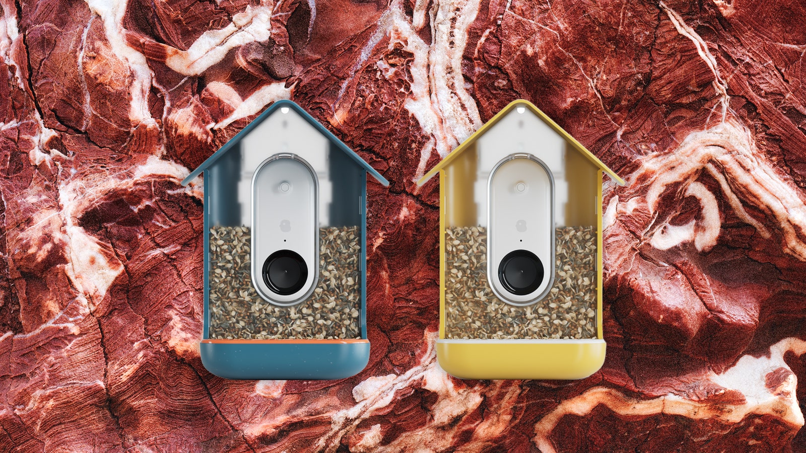 The Best Smart Bird Feeders for Backyard Birding