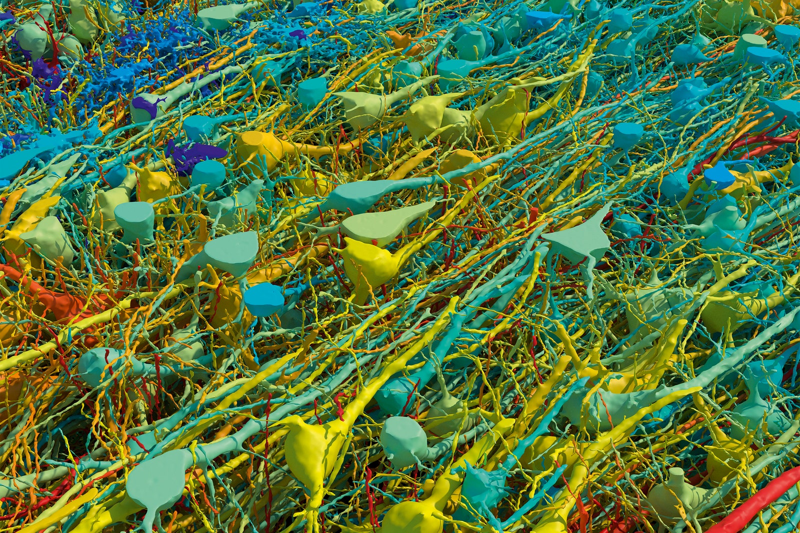 This Is the Most Detailed Map of Human Brain Connections Ever Made