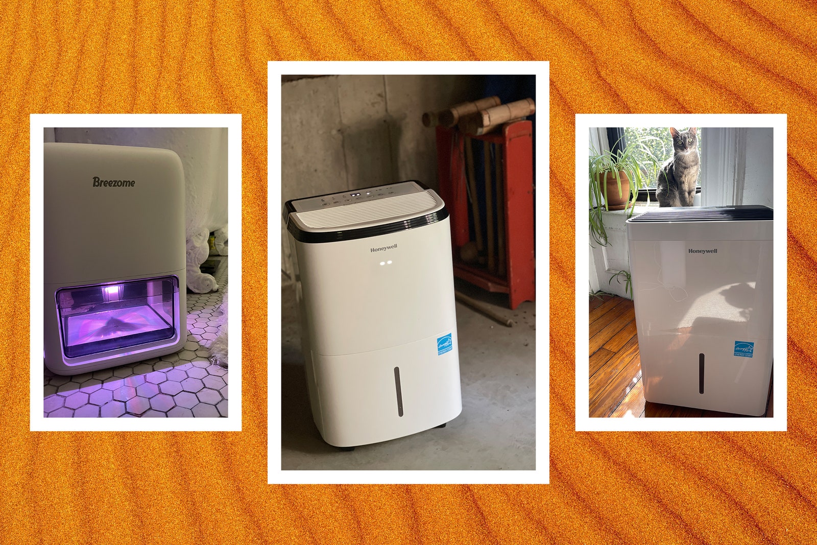 The Best Dehumidifiers