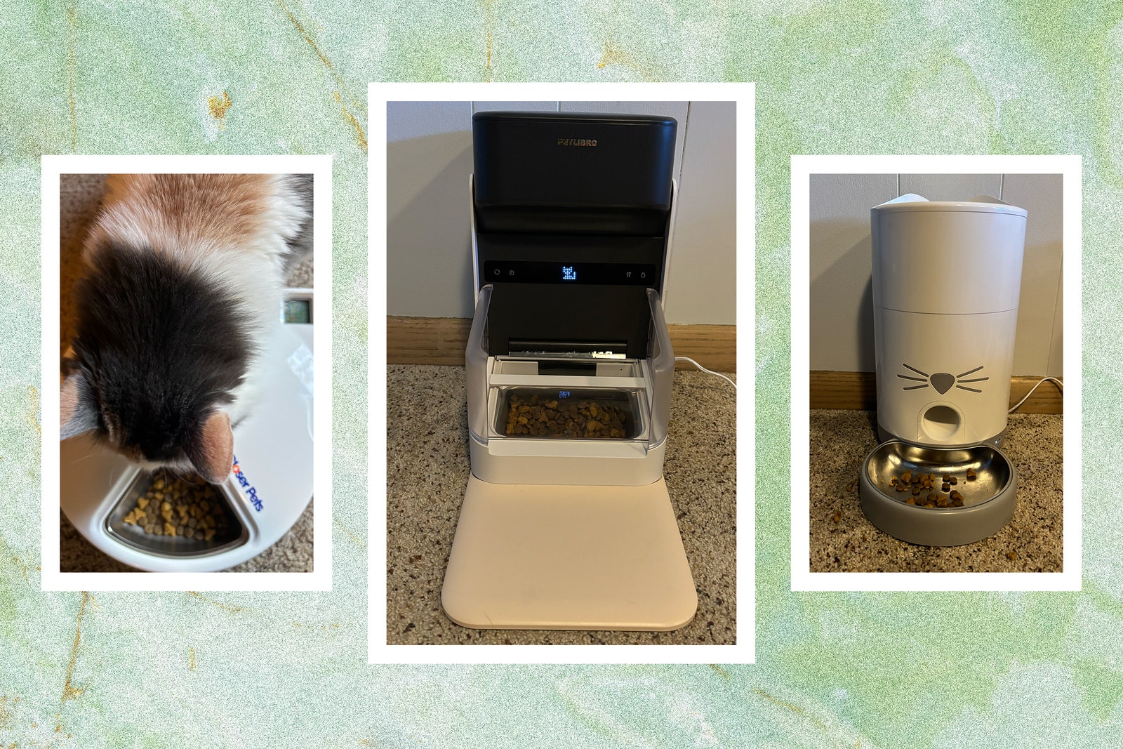 The Best Automatic Cat Feeders for When You’re Away