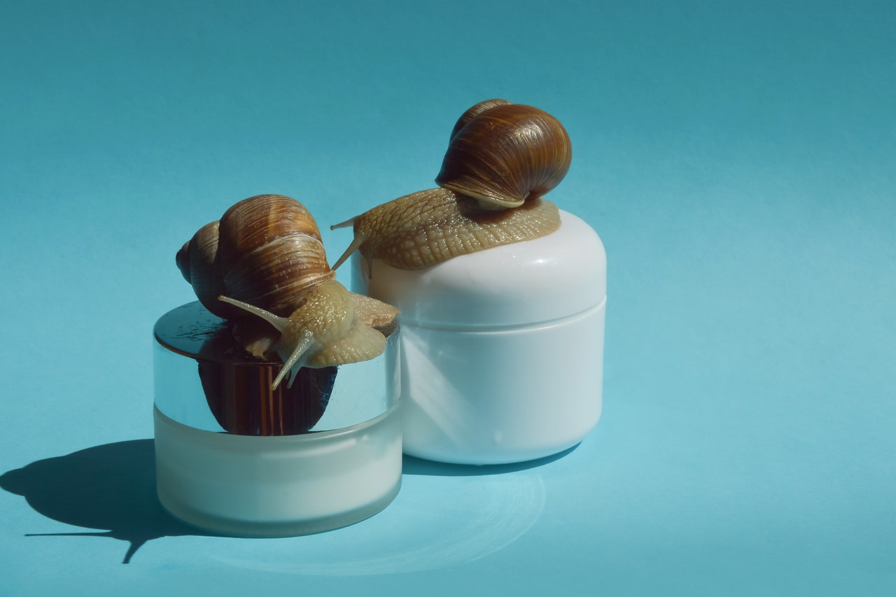 Why Snail Mucin? Or, How This Ancient Practice Became a Skin Care Sensation