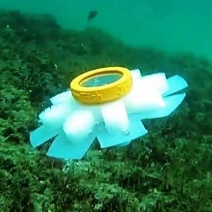 まるでクラゲそのもの！ 柔らか素材のロボットが漂うのは、海だけとは限らない（動画あり）