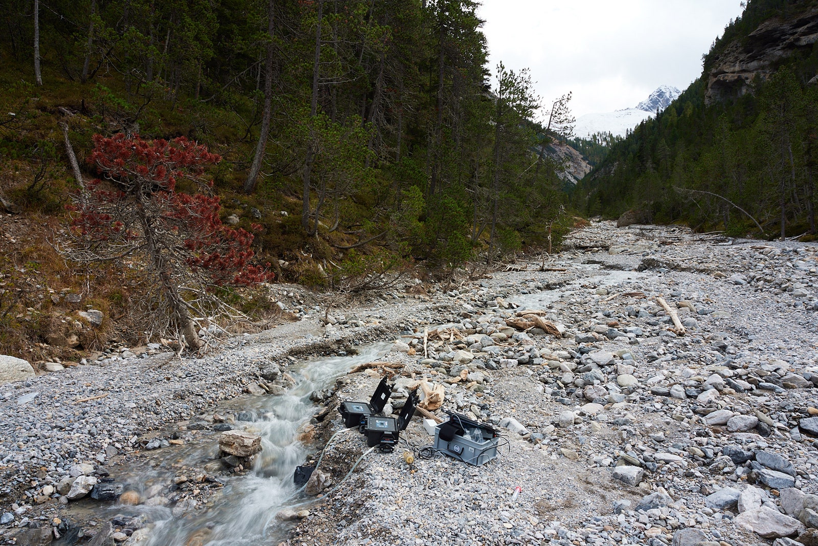 スイス国内での水中eDNA採集の現場。