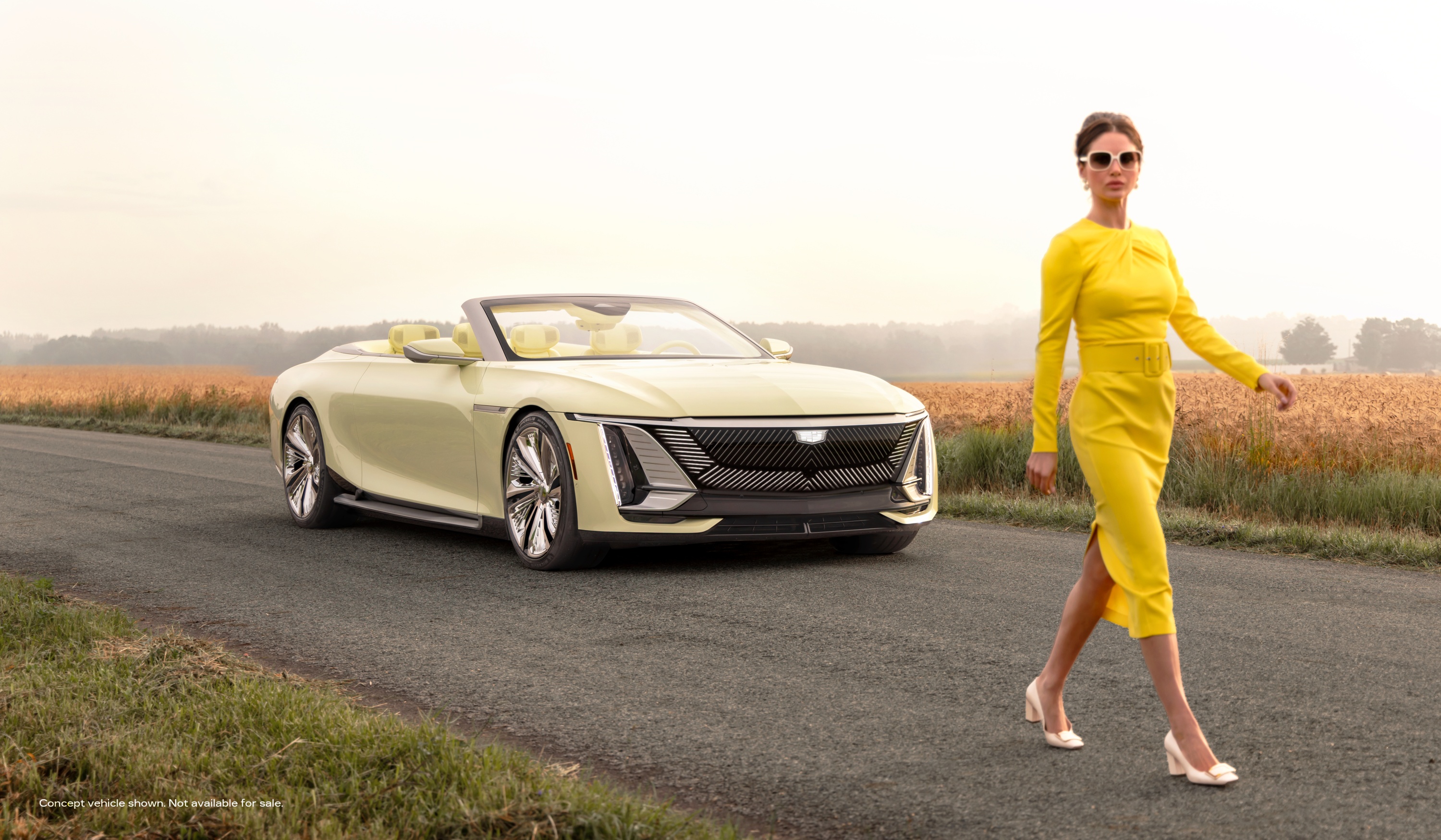 cadillac-sollei-concept-014.jpg