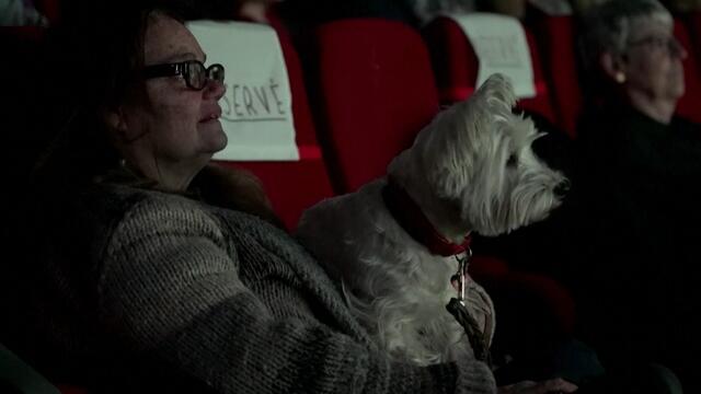 Dogs Join Humans at Theater to Watch 'Lady and the Tramp'