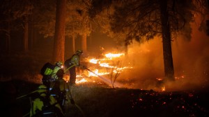 Ausnahmezustand in Los Angeles wegen schwerer Waldbrände