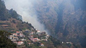 Kampf gegen Waldbrände