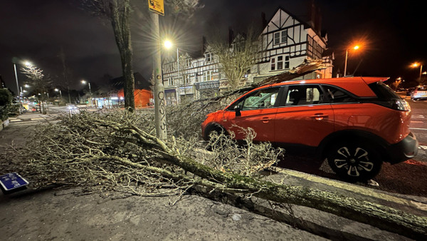 In Belfast wird ein Auto von einem großen Ast getroffen.