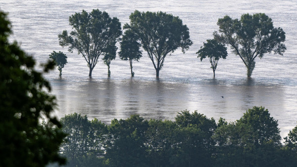 Noch unter Wasser: An der unteren Donau bleibt die Hochwasserlage angespannt.