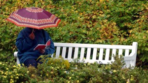 Ein Buch für jede Wetterlage: Acht Empfehlungen für den Sommer