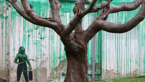 Sein Freund, der Baum, ist tot