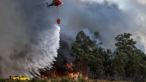 Mindestens drei Tote bei Waldbränden