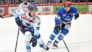 Musterschüler in der Deutschen Eishockey Liga