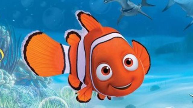 The costume of Nemo in the animated film finding nemo