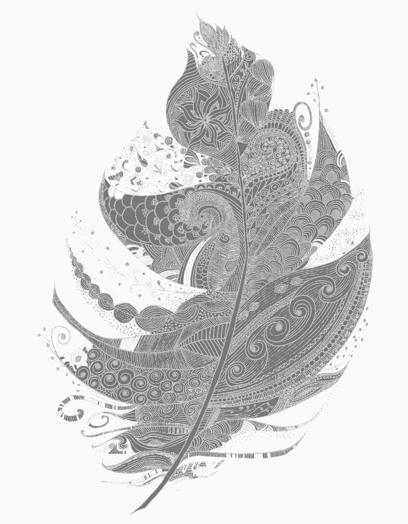 Feather Art Print Illustration Black & White Wall Art Decor – Lucia Inside White Wall Art (View 19 of 20)