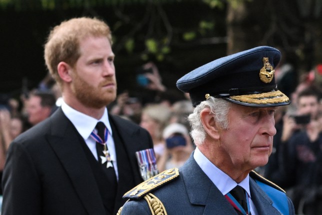 King Charles III and Prince Harry, Duke of Sussex walk behind the coffin of Queen Elizabeth II as they wear suits adorned with medals, and Charles wears a military hat, both looking somber.