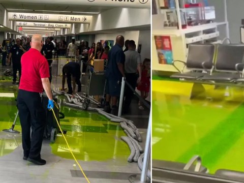 Strange green liquid oozes from airport ceiling and drenches terminal
