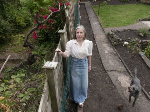 Woman’s £173,000 home damaged by bamboo growing ‘five inches a day’