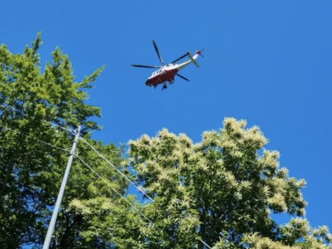 Mother dragged over cliff by ski lift clings on before falling to her death