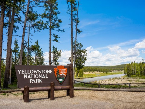 July 4 shooting at Yellowstone National Park leaves one dead and ranger injured