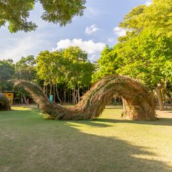 Exposição “Folhear” começa nesta quarta-feira (5)