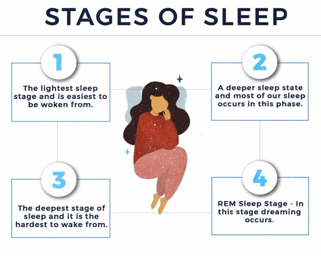 REM Sleep Cycle Chart