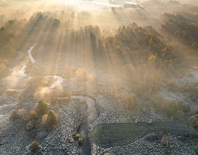 Wild river. Warta. Poland