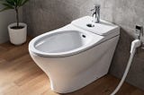 Portable-Bidet-1