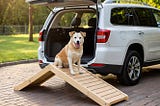 Dog-Ramp-1