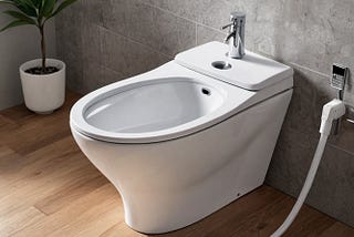 Portable-Bidet-1